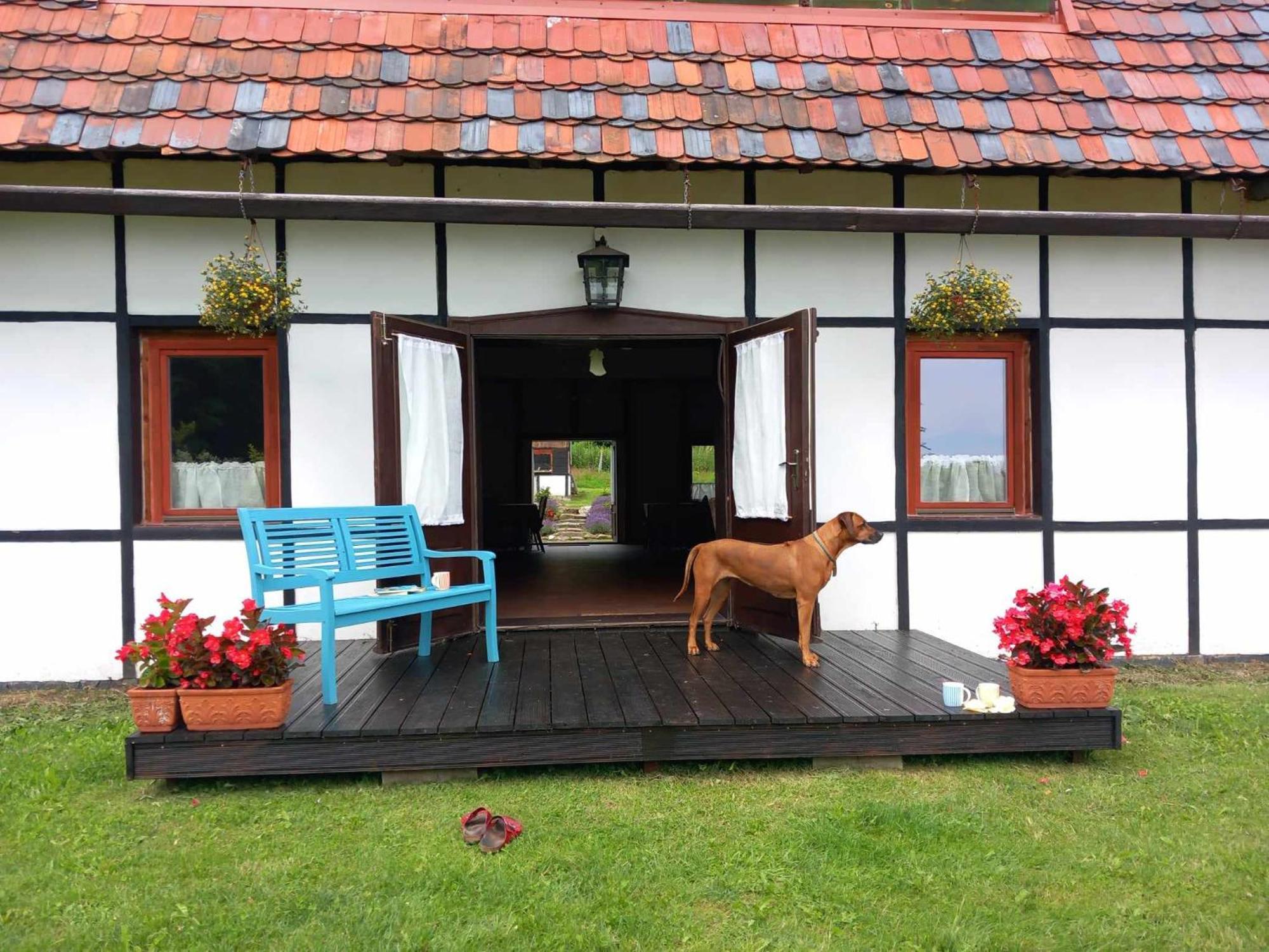 Villa Austeria Staniszow à Jelenia Góra Extérieur photo